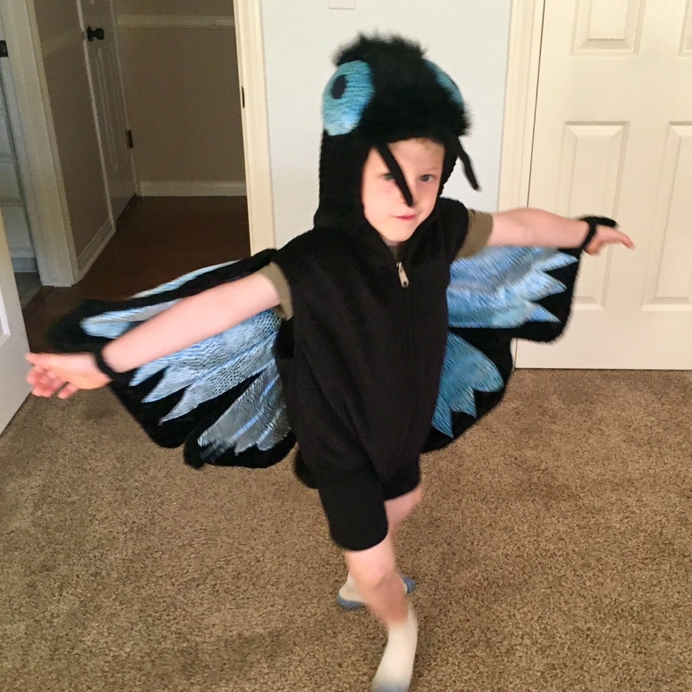 Kids Butterfly 🦋 Costume in excellent condition!